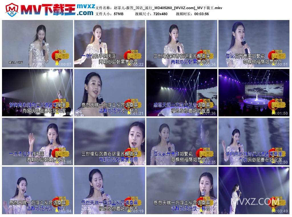 赵霏儿-报答_国语_流行_MD405260